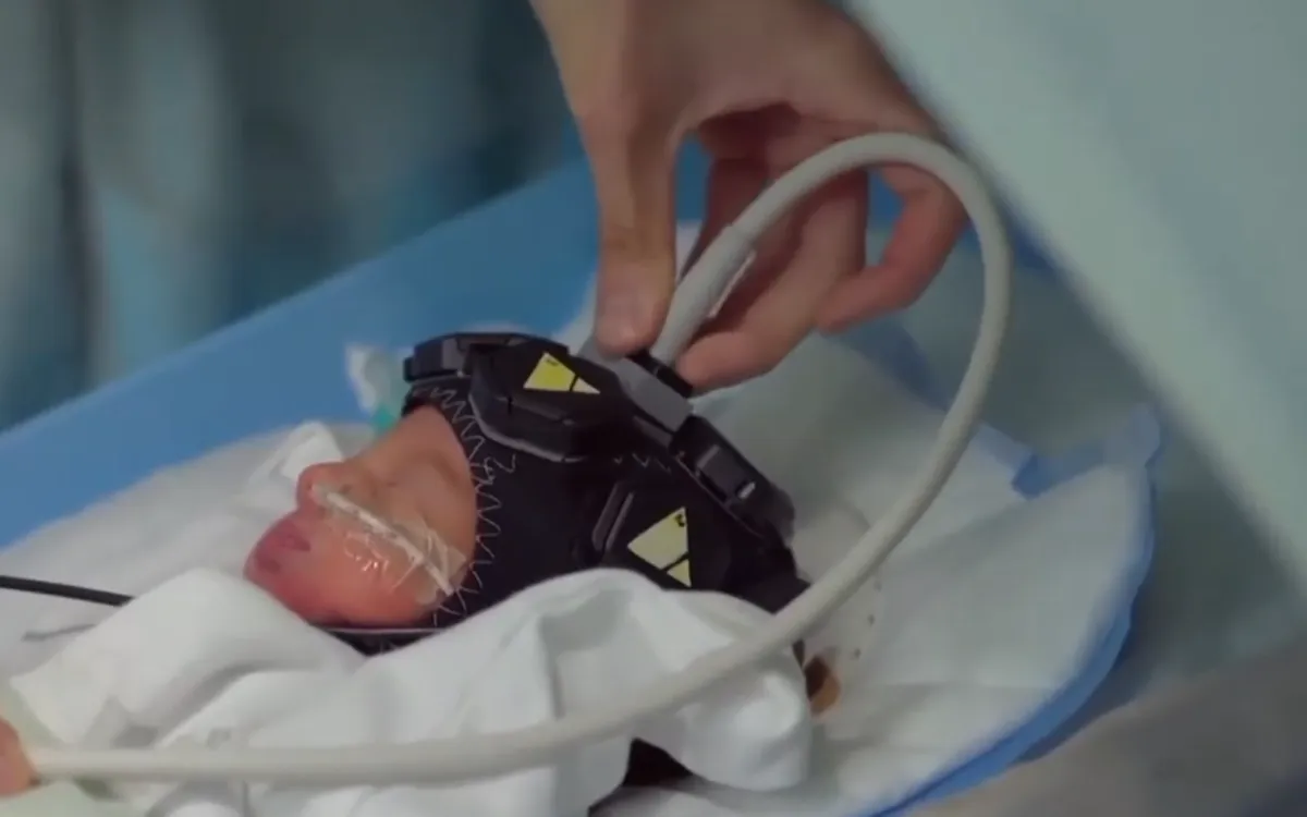 (Ảnh chụp màn hình)