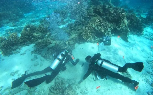 Mỹ triển khai chiến dịch tìm kiếm hơn 40.000 quân nhân mất tích dưới biển kể từ Thế chiến II (Ảnh: NYM)