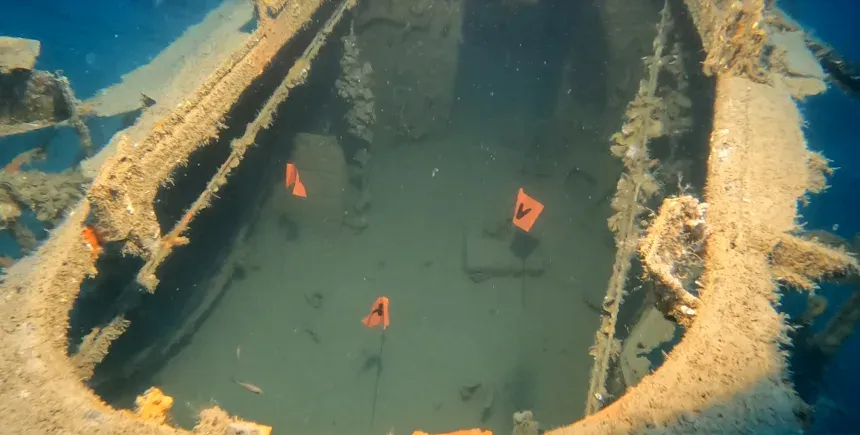 Mỹ lần đầu t&igrave;m kiếm hơn 40.000 binh sĩ mất t&iacute;ch dưới biển bằng c&ocirc;ng nghệ DNA &ldquo;v&ocirc; h&igrave;nh&rdquo;- Ảnh 4.