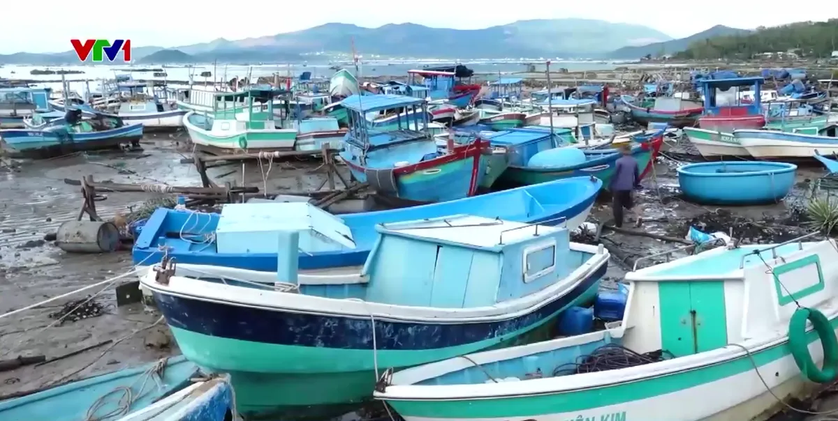 Ngư dân khẩn trương khắc phục tàu, sớm vươn khơi sau bão số 13 - Ảnh 1.