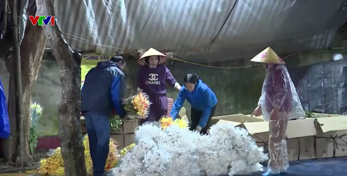 Chợ hoa đ&ecirc;m phường Nam Định: Thu ph&iacute; tự ph&aacute;t, tiểu thương v&agrave; người mua đều phải nộp - Ảnh 4.