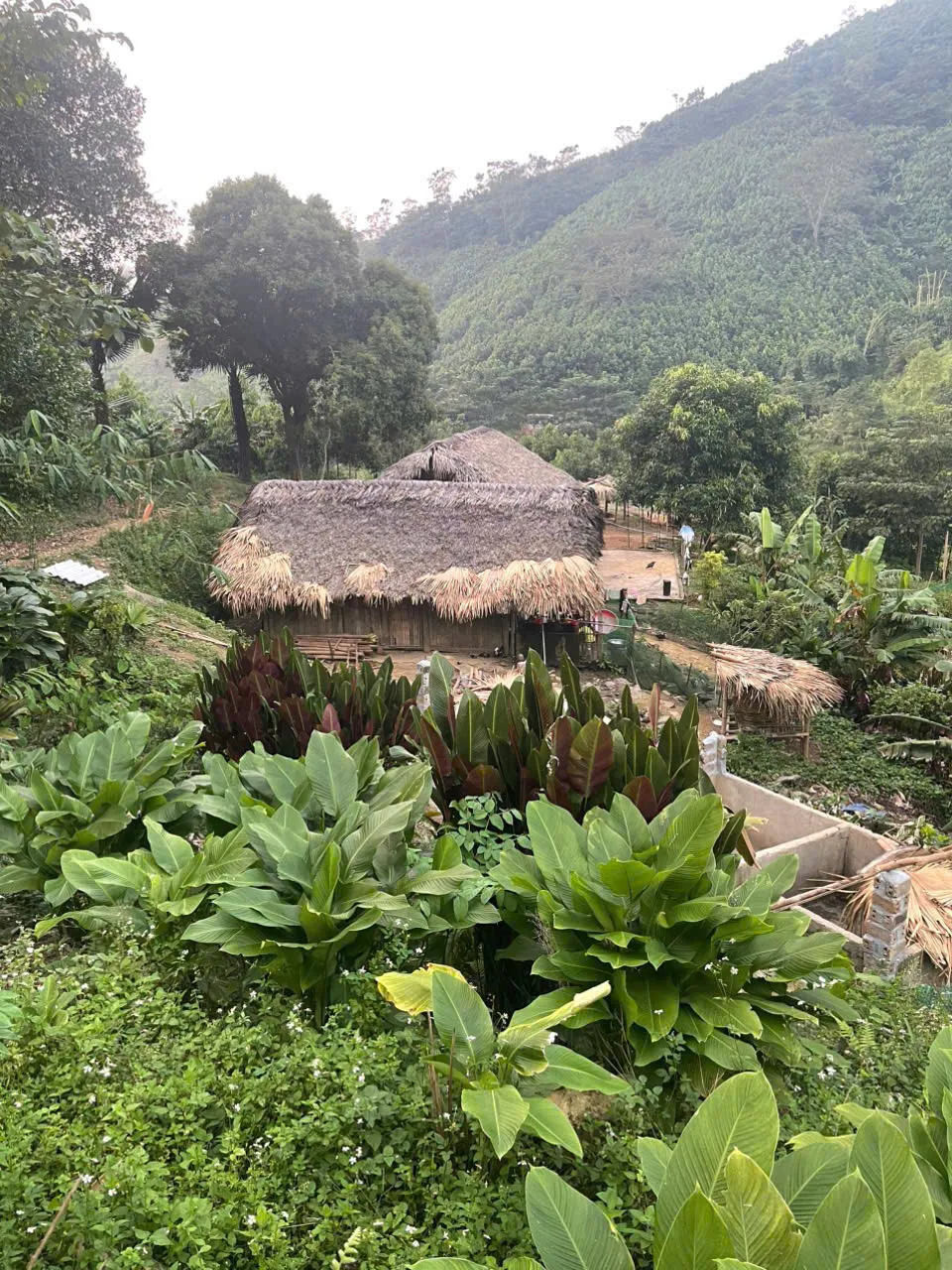 Nhịp thở khó khăn của bệnh nhi 10 tháng tuổi mắc tim bẩm sinh - Ảnh 1.