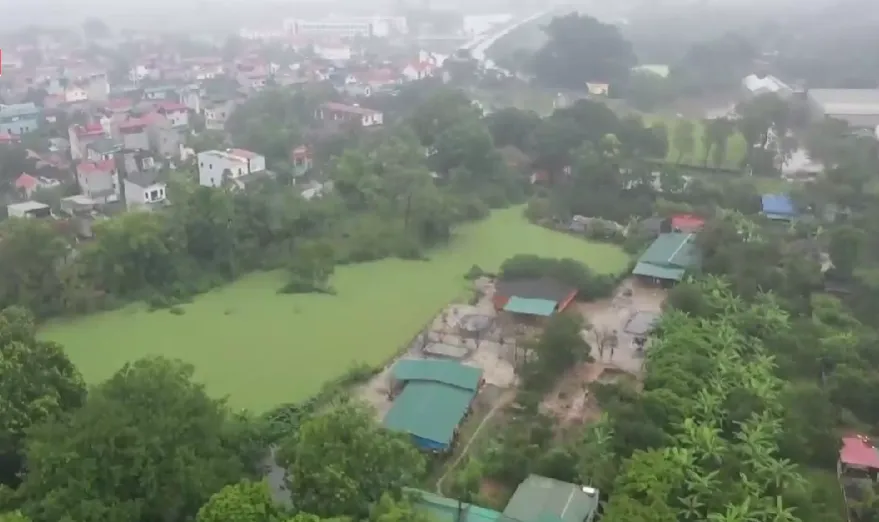 TRANG TRẠI NU&Ocirc;I VỊT G&Acirc;Y &Ocirc; NHIỄM AO Đ&Igrave;NH L&Agrave;NG - Ảnh 3.