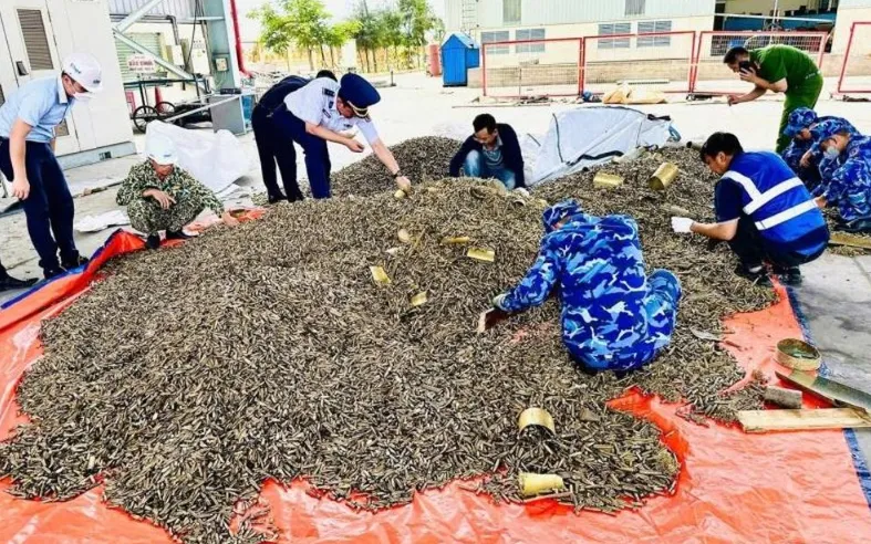 Lực lượng liên ngành kiểm tra, thu giữ tang vật trong vụ việc.