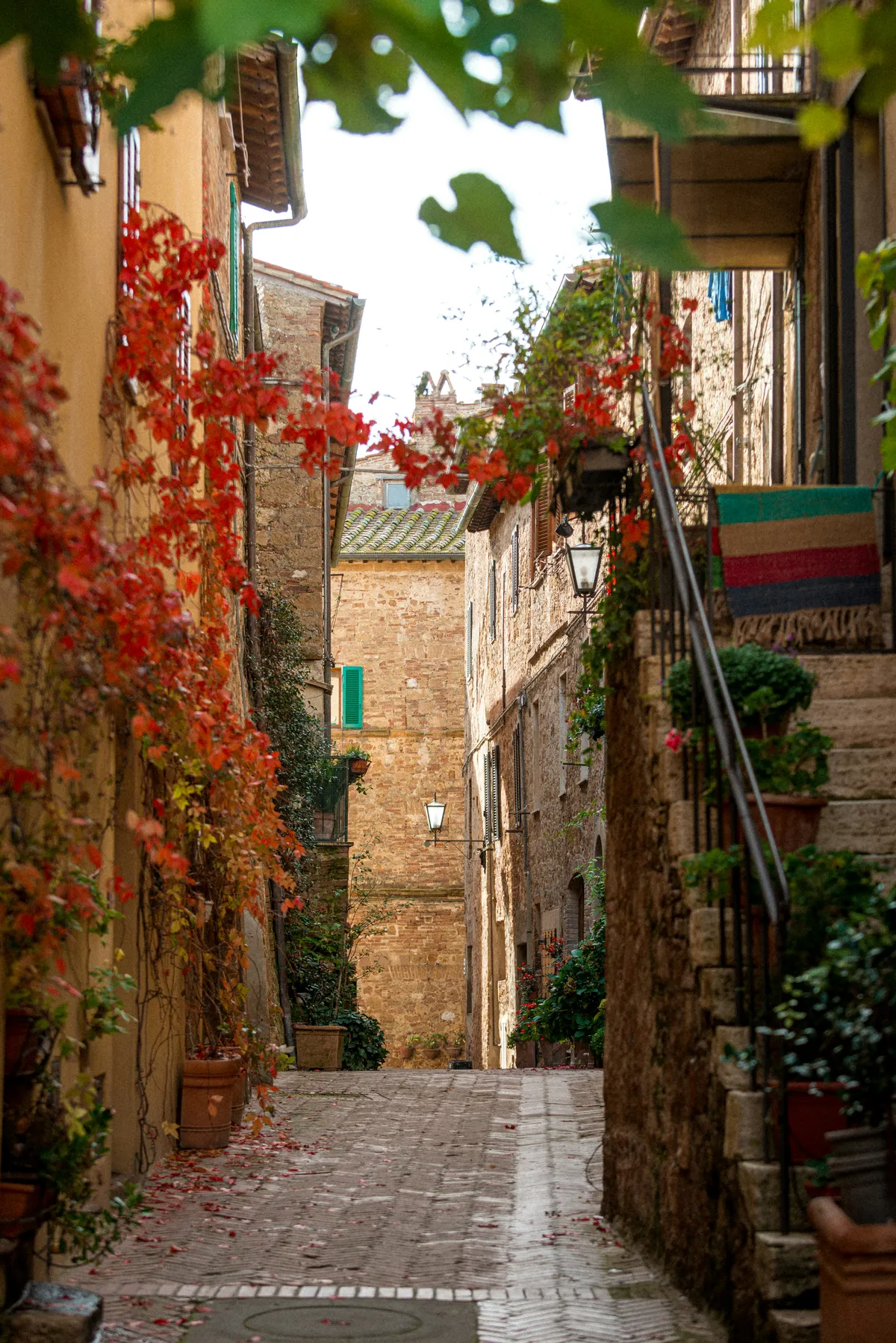 Chữa lành trong sắc thu: Đi tìm sự hòa hợp giữa con người và thiên nhiên- Ảnh 4. Chữa lành trong sắc thu: Đi tìm sự hòa hợp giữa con người và thiên nhiên- Ảnh 4.