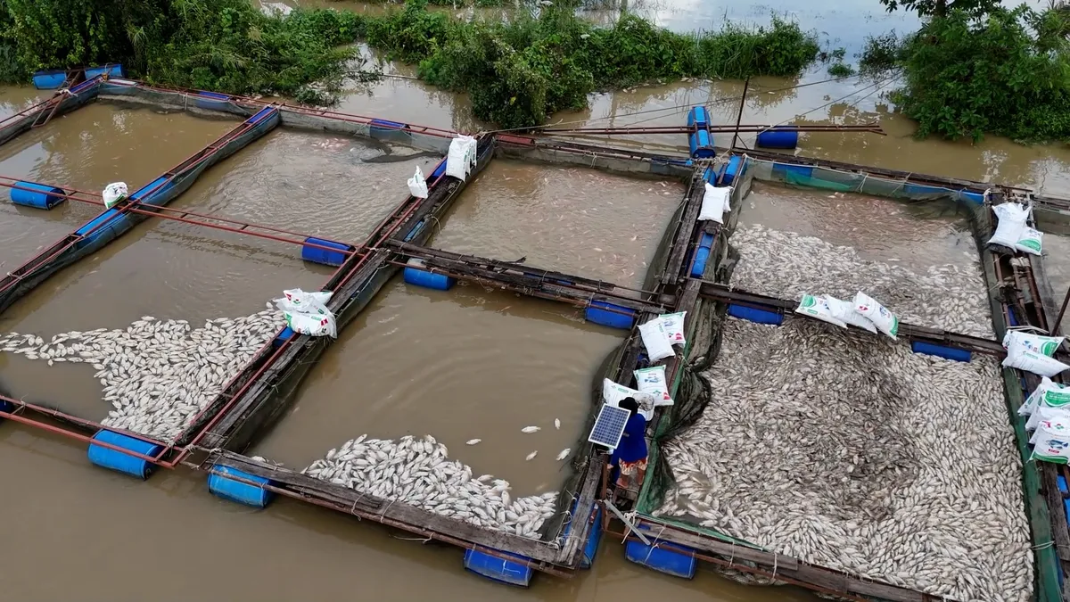 Đắk Lắk đề nghị Chính phủ hỗ trợ 200 tỷ đồng để khắc phục bão số 13 - Ảnh 1.