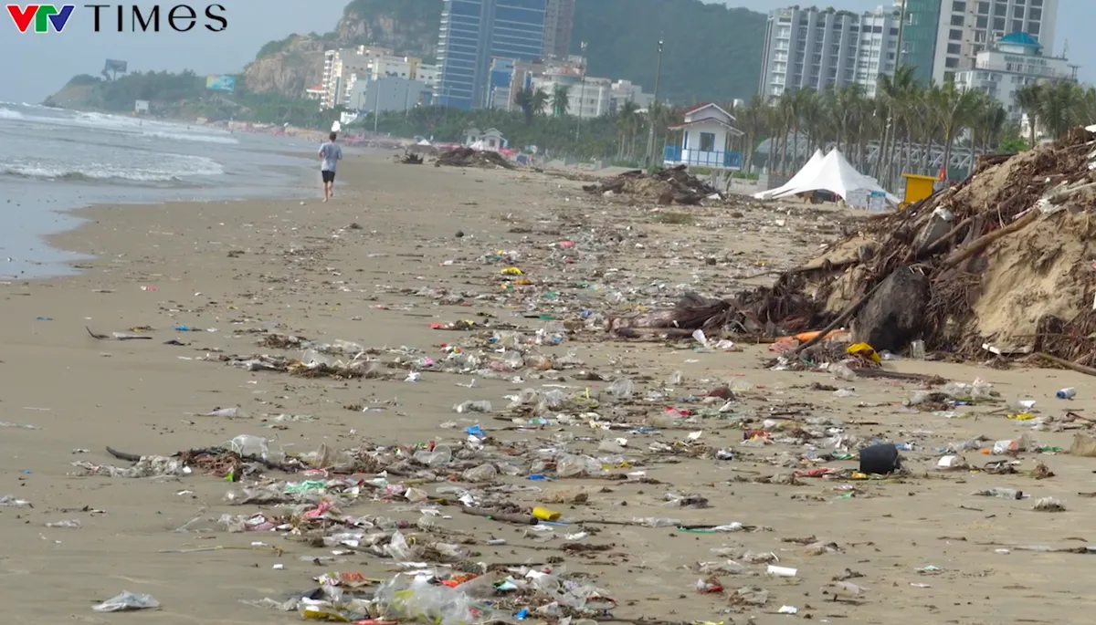 Bãi Sau Vũng Tàu biến thành “bãi rác” sau gió mùa đông bắc   - Ảnh 1.