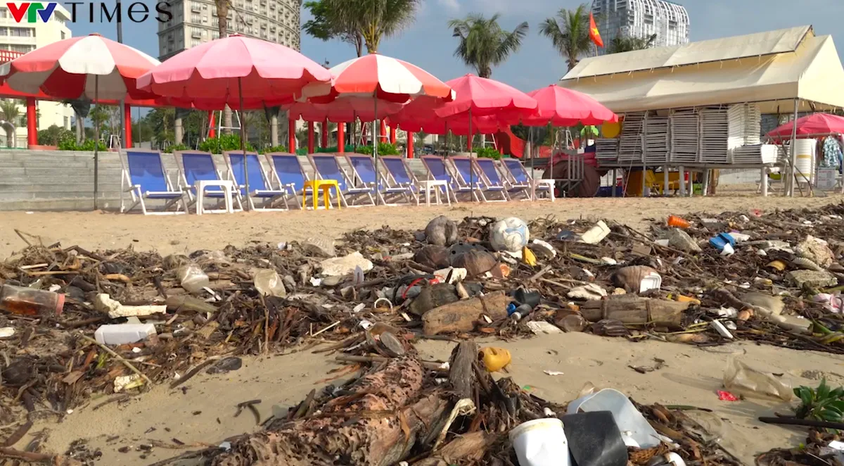 Bãi Sau Vũng Tàu biến thành “bãi rác” sau gió mùa đông bắc   - Ảnh 2.
