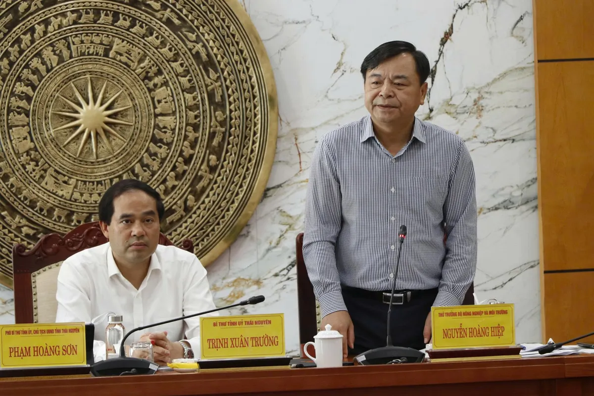 Chống ngập lụt ở Th&aacute;i Nguy&ecirc;n phải giải quyết trong tổng thể lưu vực s&ocirc;ng Cầu- Ảnh 4.