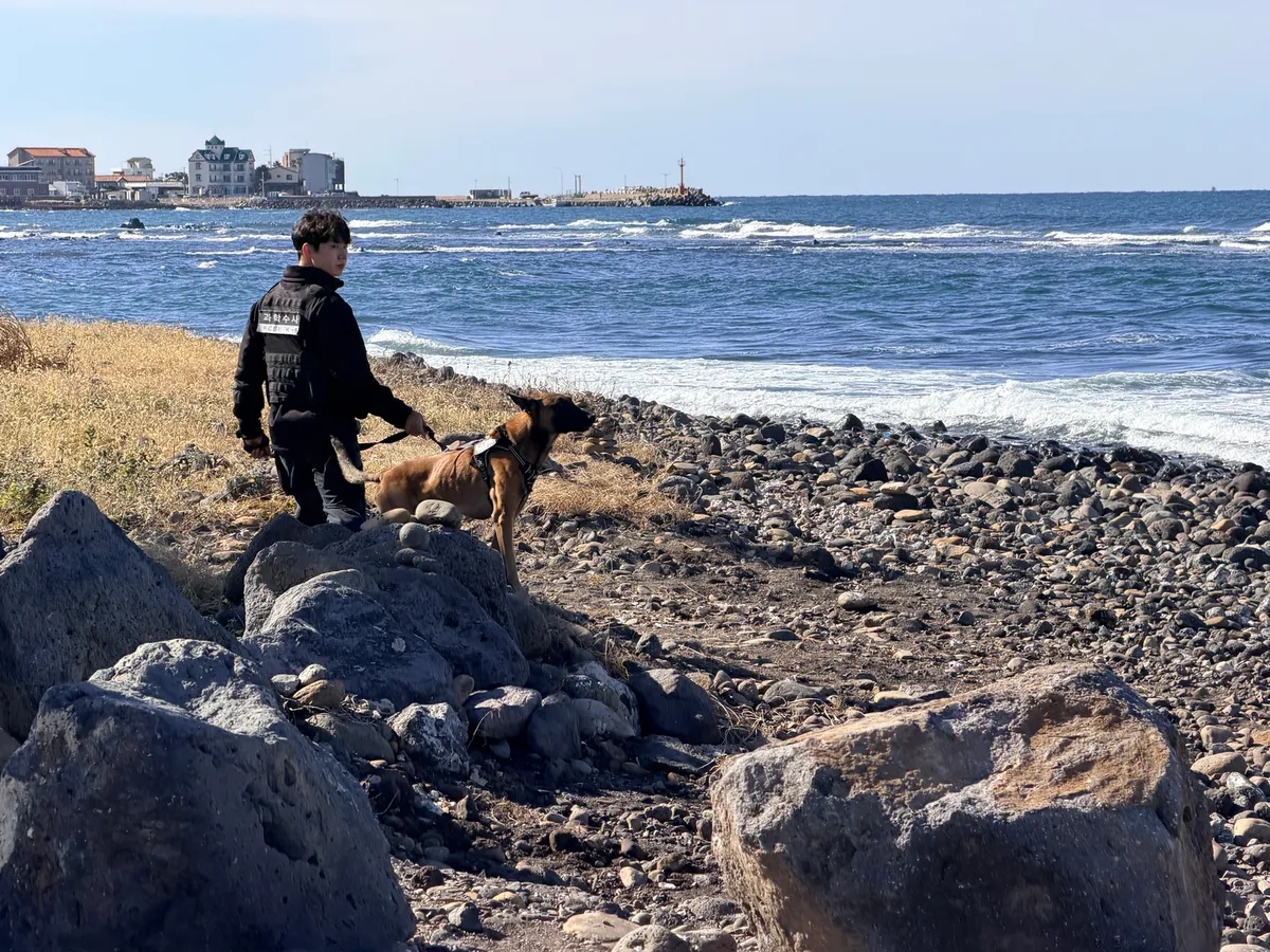 Phát hiện nhiều gói ma túy ketamine trôi dạt vào đảo du lịch Jeju (Hàn Quốc) - Ảnh 2.