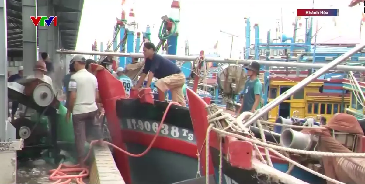 Ngư d&acirc;n vất vả v&igrave; cảng c&aacute; bị bồi lấp- Ảnh 2.