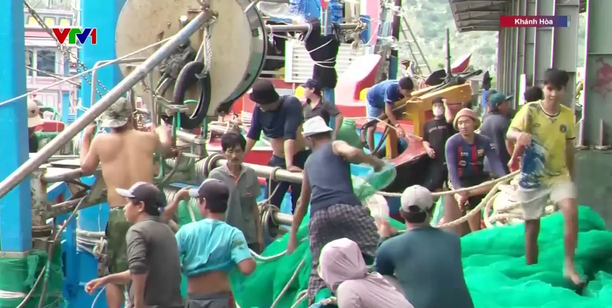 Ngư d&acirc;n vất vả v&igrave; cảng c&aacute; bị bồi lấp- Ảnh 1.