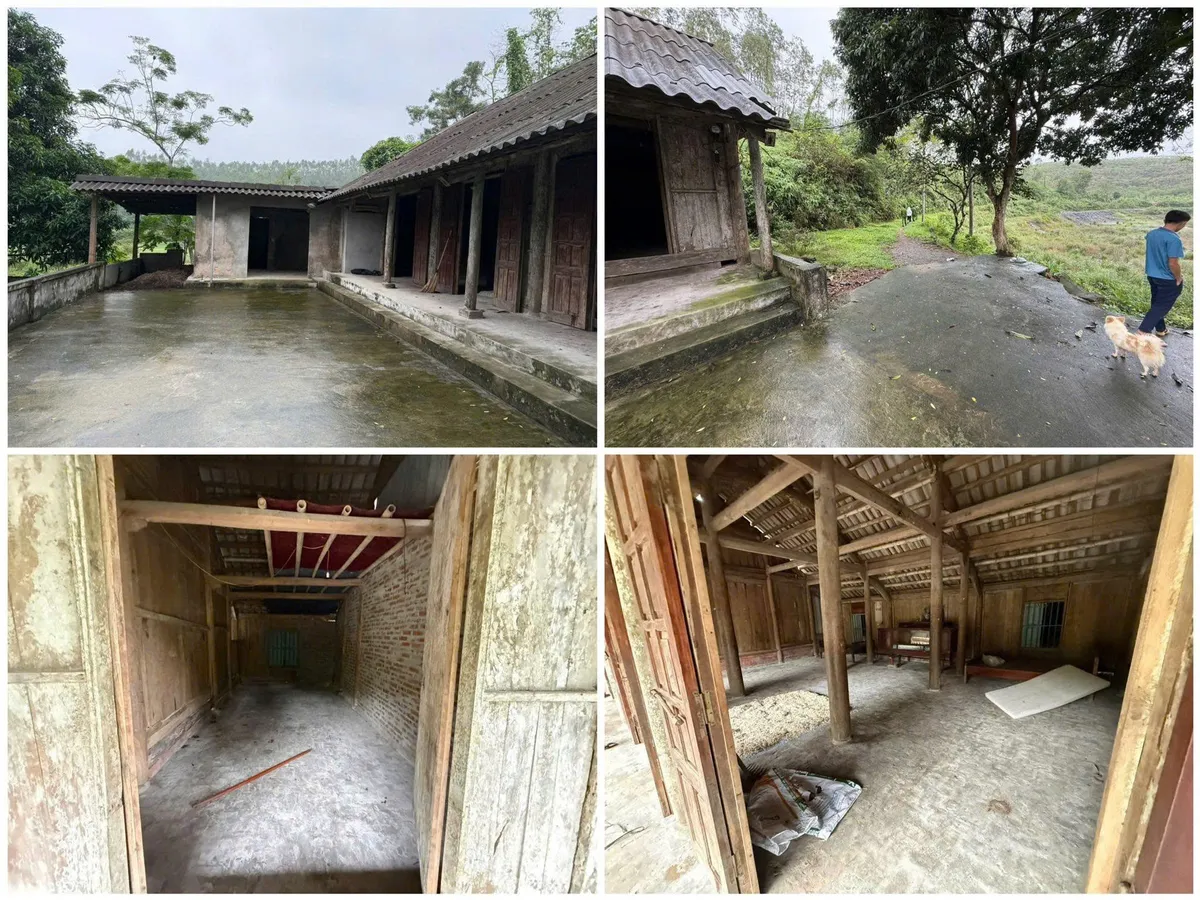 Phú Thọ: Triệt phá đường dây trục lợi bảo hiểm hiểm nhân thọ bằng cách tự đục vỡ xương - Ảnh 2.