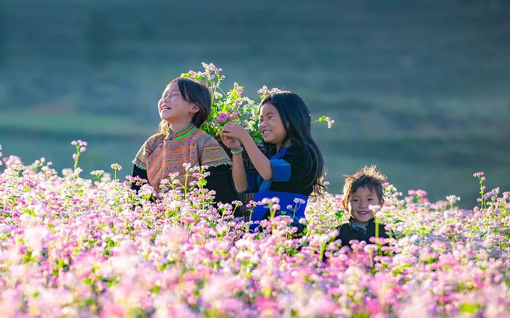 Lễ hội hoa Tam giác mạch là một sự kiện văn hóa đặc sắc riêng có của Xã Đồng Văn, tỉnh Tuyên Quang. (ảnh: Cổng TTĐT Tuyên Quang)
