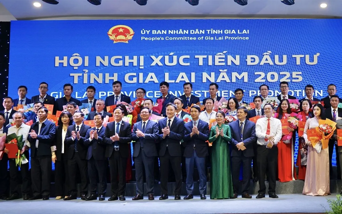 Chỉ trong 10 tháng đầu năm 2025, Gia Lai đã thu hút 161 dự án với tổng vốn đầu tư đạt hơn 113 nghìn tỷ đồng. 