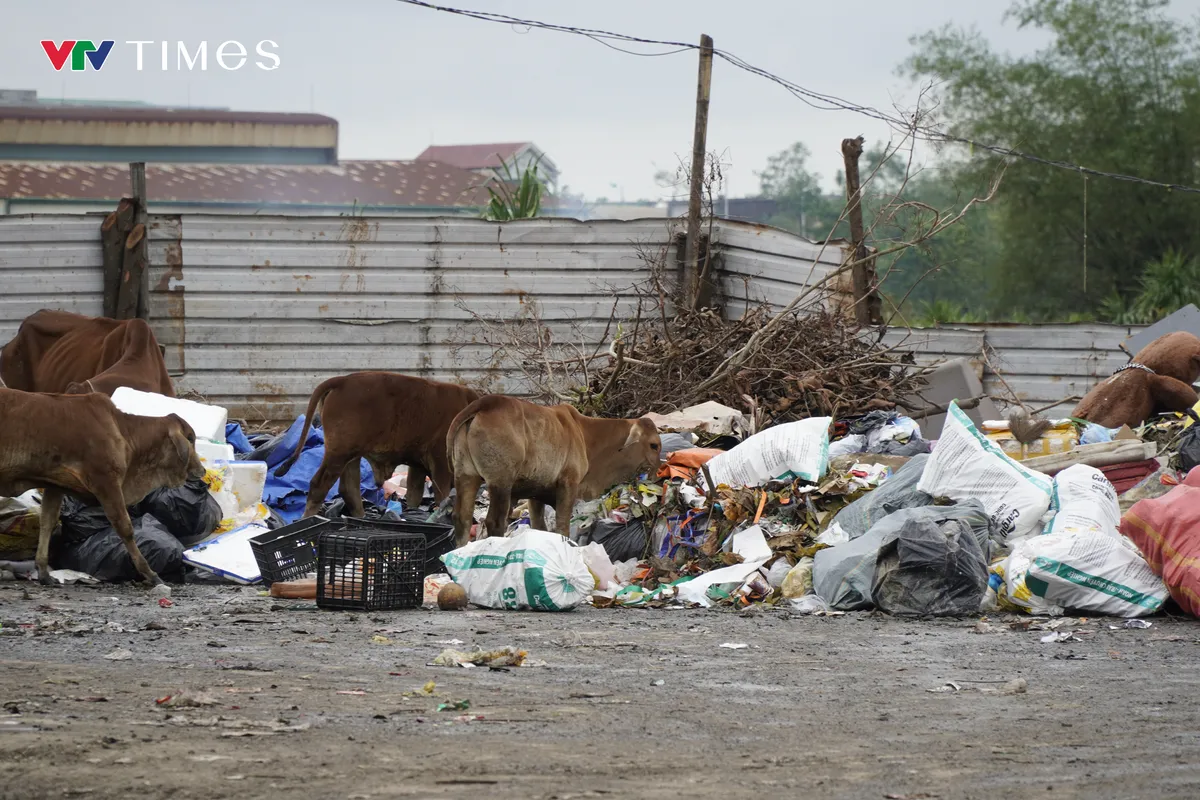 Nghệ An: Nhanh chóng xử lý rác thải chất đống cao ngút hai bên đường ở trung tâm đô thị - Ảnh 4. Nghệ An: Nhanh chóng xử lý rác thải chất đống cao ngút hai bên đường ở trung tâm đô thị - Ảnh 4.