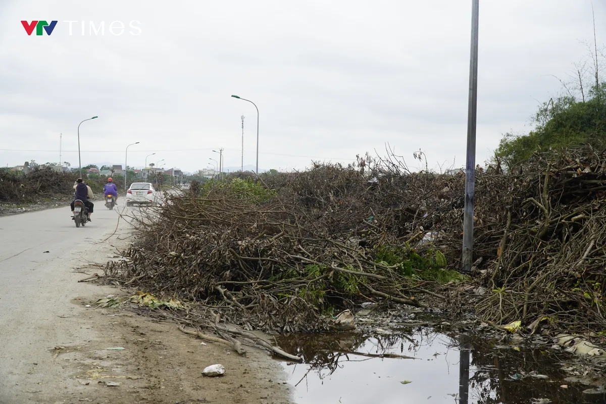 Nghệ An: Nhanh chóng xử lý rác thải chất đống cao ngút hai bên đường ở trung tâm đô thị - Ảnh 1. Nghệ An: Nhanh chóng xử lý rác thải chất đống cao ngút hai bên đường ở trung tâm đô thị - Ảnh 1.