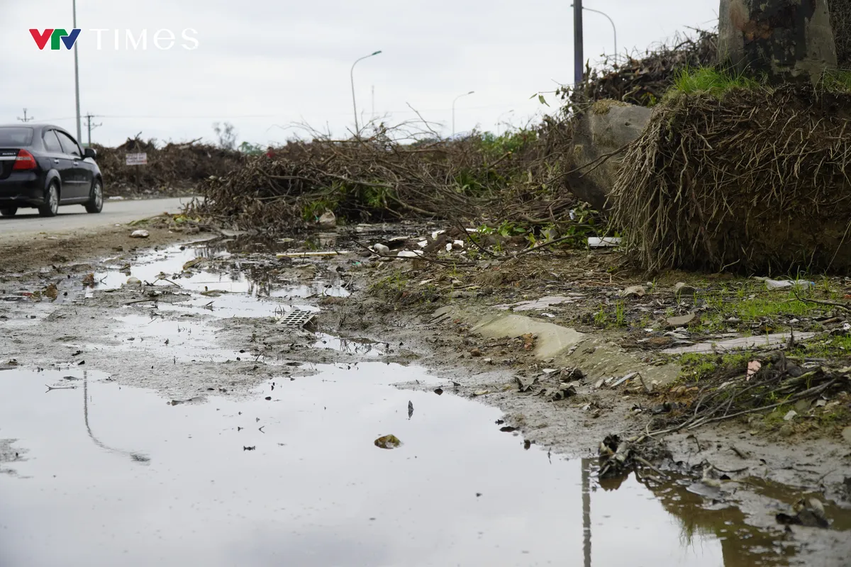 Nghệ An: Nhanh chóng xử lý rác thải chất đống cao ngút hai bên đường ở trung tâm đô thị - Ảnh 2. Nghệ An: Nhanh chóng xử lý rác thải chất đống cao ngút hai bên đường ở trung tâm đô thị - Ảnh 2.