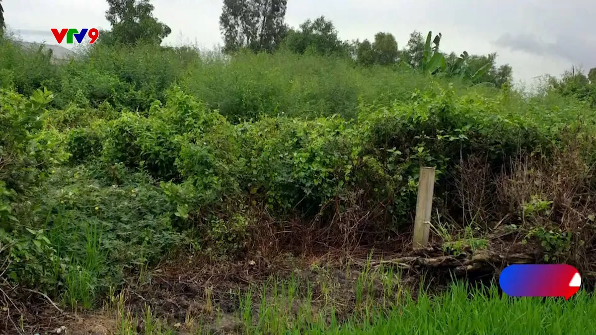 pnhn-1511-alov 6.jpg