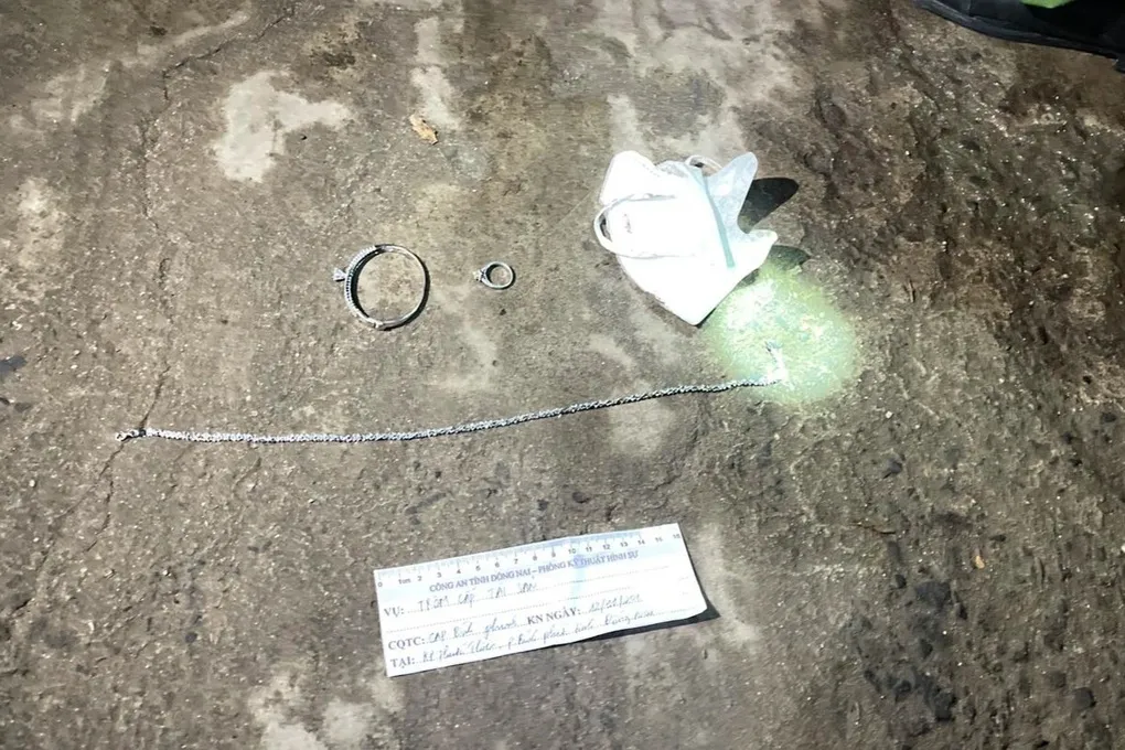 Nữ giúp việc ở Đồng Nai trộm trang sức hàng trăm triệu đồng của chủ - Ảnh 2.