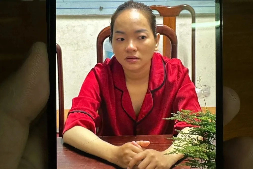 Nữ giúp việc ở Đồng Nai trộm trang sức hàng trăm triệu đồng của chủ - Ảnh 1.