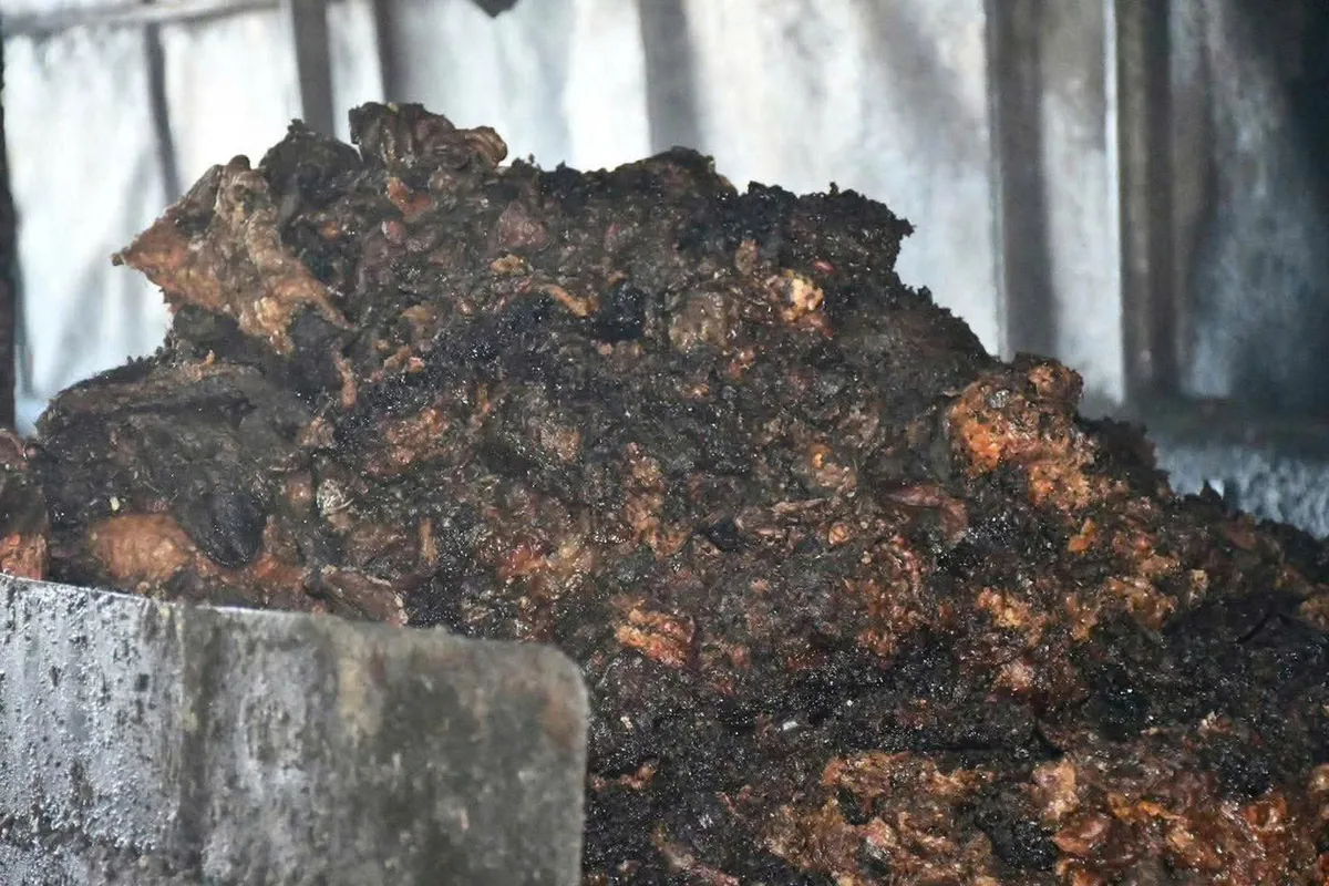 Đà Nẵng: Bắt quả tang một cơ sở chế biến mỡ động vật trái phép với quy mô lớn nằm trong khu vực nghĩa trang - Ảnh 3.