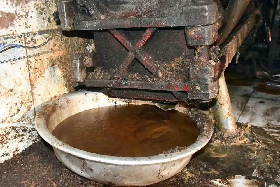 Đà Nẵng: Bắt quả tang một cơ sở chế biến mỡ động vật trái phép với quy mô lớn nằm trong khu vực nghĩa trang - Ảnh 4.