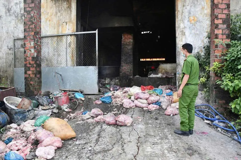 Đà Nẵng: Bắt quả tang một cơ sở chế biến mỡ động vật trái phép với quy mô lớn nằm trong khu vực nghĩa trang - Ảnh 1.