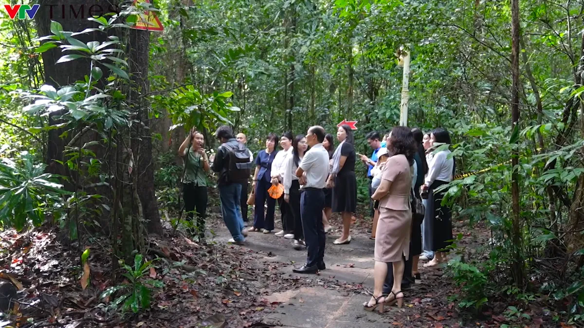 Hồ Tràm trỗi dậy thành “thủ phủ du lịch” mới của TP Hồ Chí Minh- Ảnh 5. Hồ Tràm trỗi dậy thành “thủ phủ du lịch” mới của TP Hồ Chí Minh- Ảnh 5.