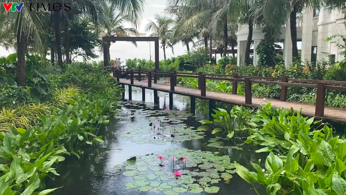 Hồ Tràm trỗi dậy thành “thủ phủ du lịch” mới của TP Hồ Chí Minh- Ảnh 2. Hồ Tràm trỗi dậy thành “thủ phủ du lịch” mới của TP Hồ Chí Minh- Ảnh 2.