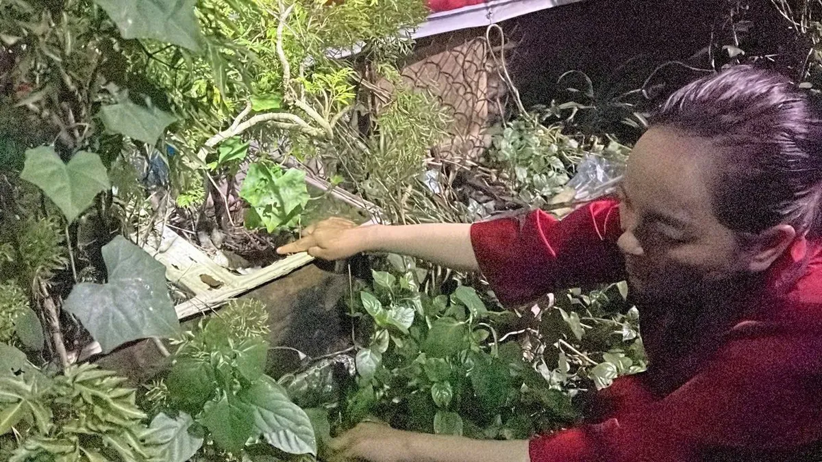 Làm giúp việc, trộm nữ trang hơn 300 triệu đồng tại nhà chủ - Ảnh 2.