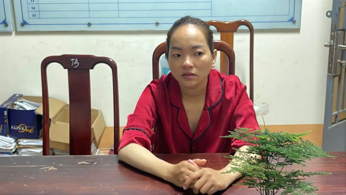 Làm giúp việc, trộm nữ trang hơn 300 triệu đồng tại nhà chủ - Ảnh 1.