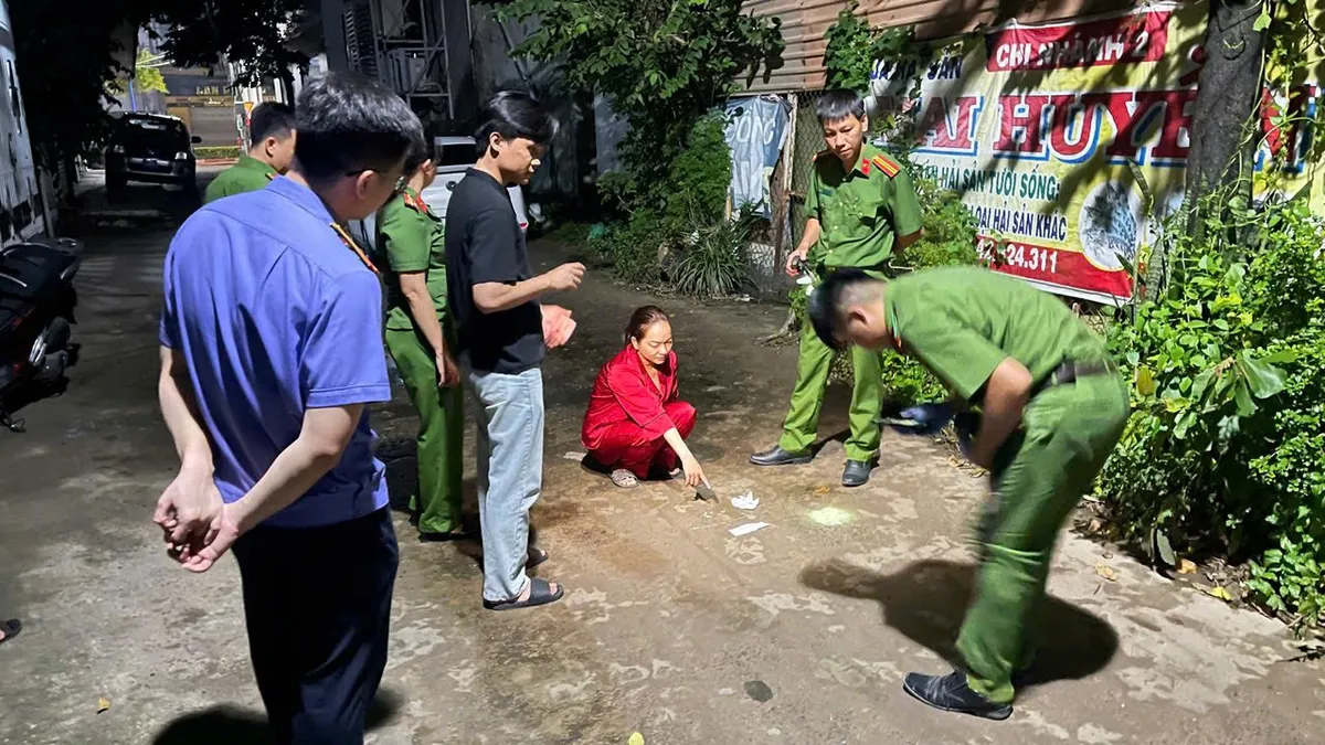 Làm giúp việc, trộm nữ trang hơn 300 triệu đồng tại nhà chủ - Ảnh 3.