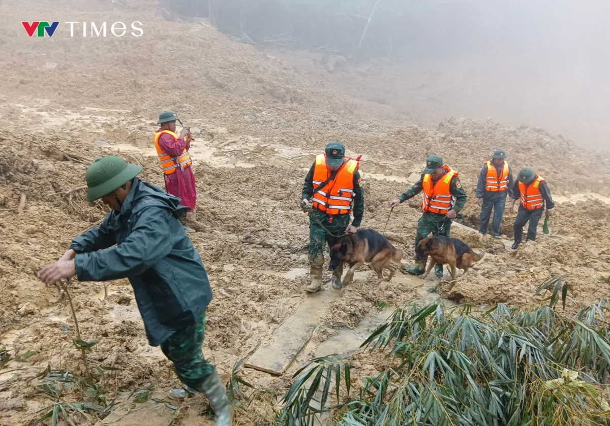 Quân khu 5 tiếp tục công tác tìm kiếm nạn nhân mất tích tại xã Hùng Sơn. Chó nghiệp vụ được huy động vào hiện trường - Ảnh 4.
