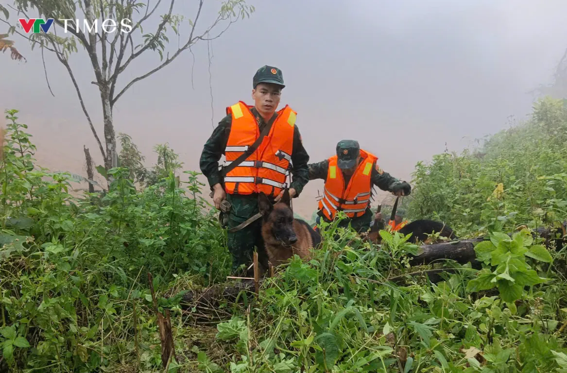 Quân khu 5 tiếp tục công tác tìm kiếm nạn nhân mất tích tại xã Hùng Sơn. Chó nghiệp vụ được huy động vào hiện trường - Ảnh 7.