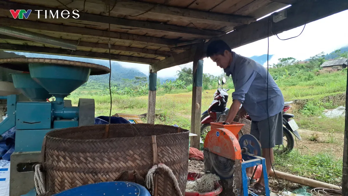 &ldquo;Vua&rdquo; g&agrave; bản địa x&atilde; Quế Phong - Ảnh 1.