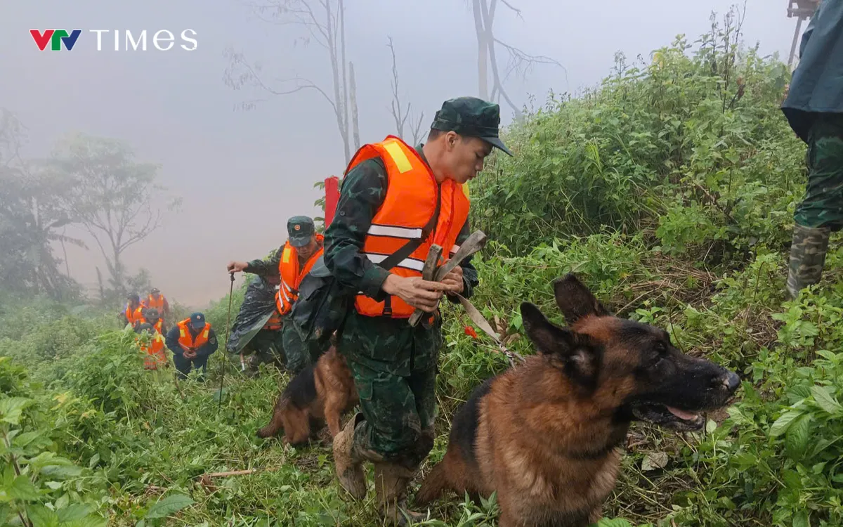 Chó nghiệp vụ được huy động vào hiện trường.