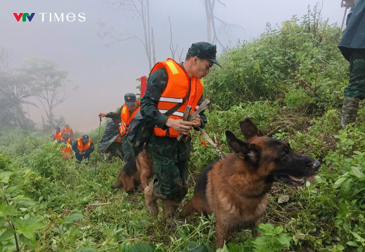 Quân khu 5 tiếp tục công tác tìm kiếm nạn nhân mất tích tại xã Hùng Sơn. Chó nghiệp vụ được huy động vào hiện trường - Ảnh 3.