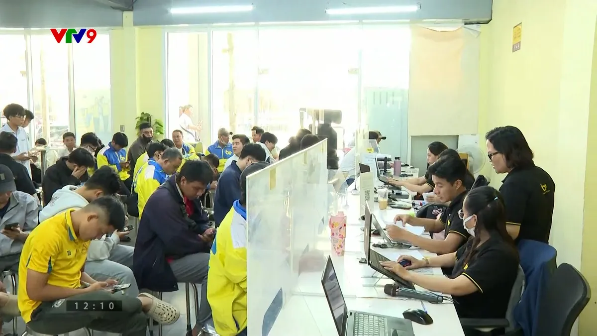 Hiệu quả cấp bằng lái qua ứng dụng điện thoại