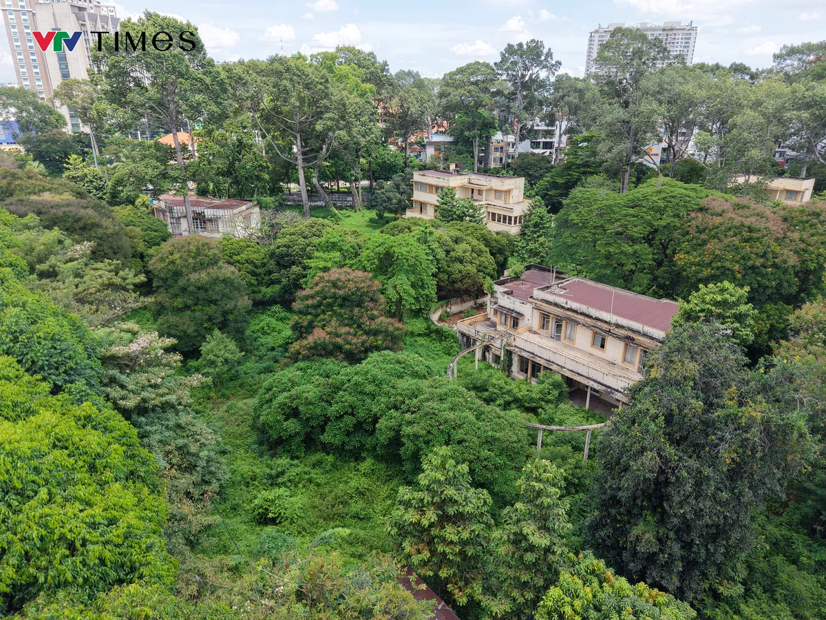 Vì sao TP Hồ Chí Minh "hy sinh" khu "đất vàng" để làm Đài tưởng niệm Covid19? - Ảnh 1.