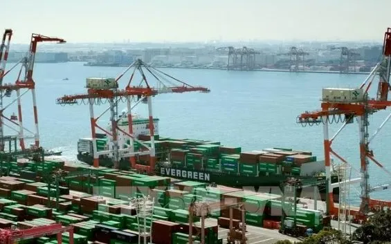 Cảng container quốc tế ở Tokyo, Nhật Bản. Ảnh: AFP/TTXVN