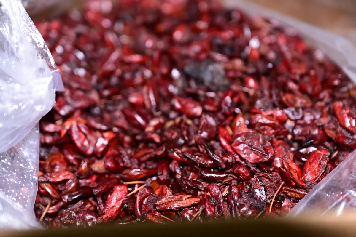 Ổ nh&oacute;m lừa b&aacute;n &ldquo;ngọc dương&rdquo; cho người gi&agrave; ở Hải Ph&ograve;ng bị triệt ph&aacute; - Ảnh 2.