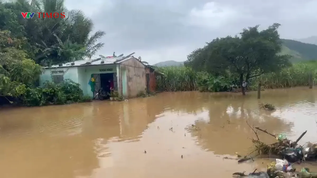 Khánh Hòa: Dự báo lũ trên sông Cái Nha Trang lên lại vào tối nay - Ảnh 1.