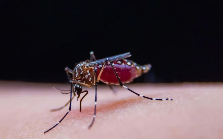 (Ảnh: Independent)