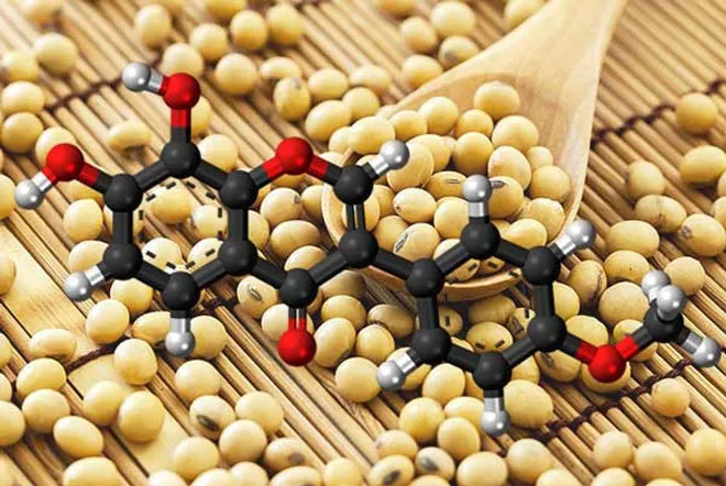 Mầm đậu nành và ung thư: Sự thật khoa học hay tin đồn thất thiệt?- Ảnh 1.