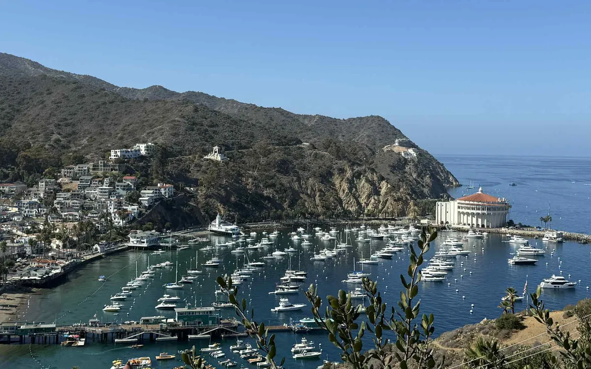 Một ngày bình yên trên đảo Santa Catalina.