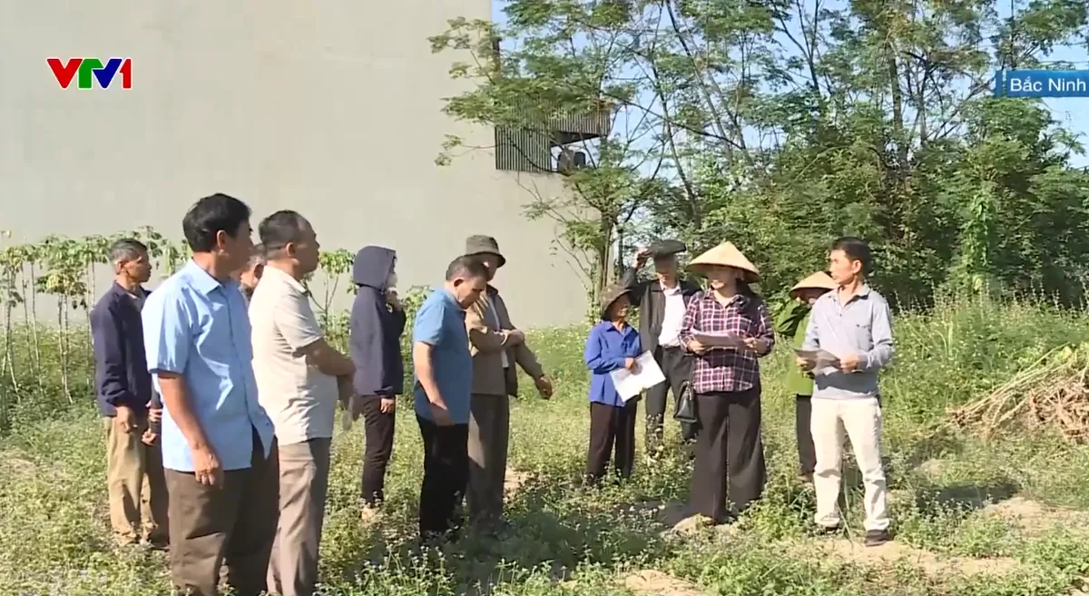 Đất được cấp sổ đỏ hơn 10 năm vẫn bị thu hồi - Ảnh 1.