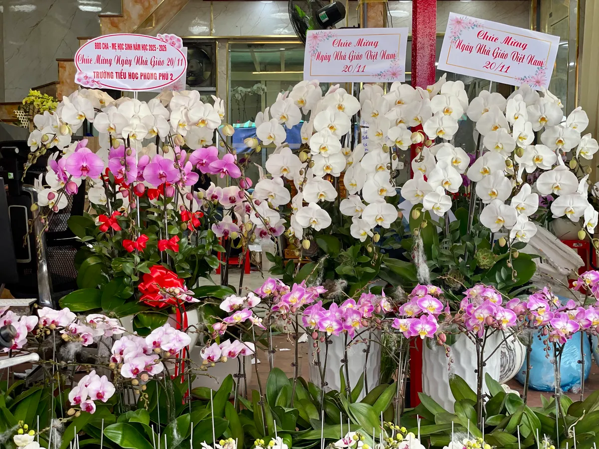 Thị trường hoa cho ngày 20/11 ghi nhận nhiều thay đổi- Ảnh 8.
