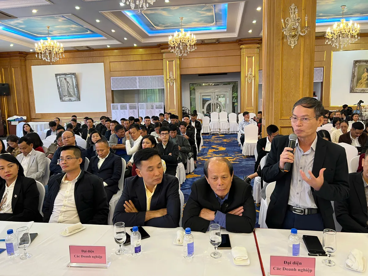 Ph&aacute;t triển đa dạng sinh th&aacute;i: Hải Ph&ograve;ng bắt tay h&agrave;ng kh&ocirc;ng ph&aacute;t triển du lịch- Ảnh 1.