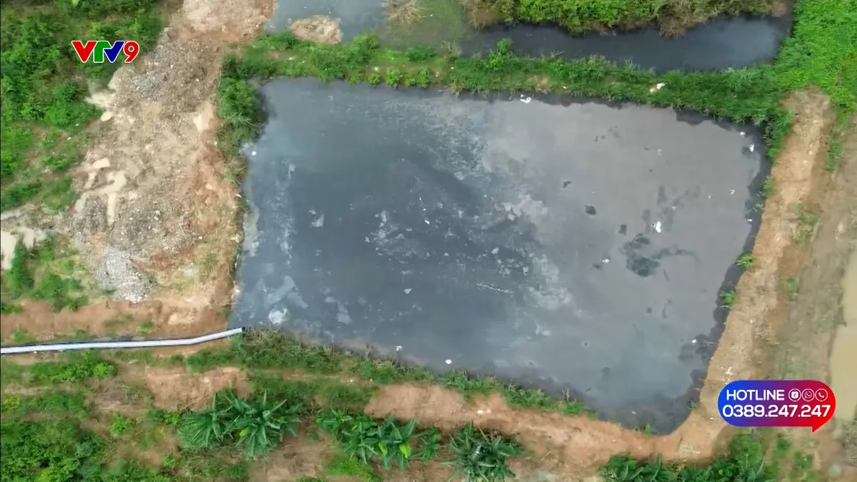 Alo V9 (19/11/2025): Đồng Nai xử lý cơ sở chăn nuôi gây ô nhiễm